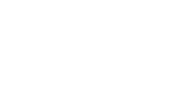 Apn Logo